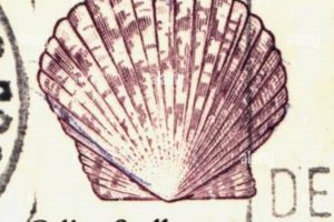 Vintage 22 Cent Postage Stamps: A Collector's Guide Old Stamp Collecting Guide: Discover, Value & Preserve Vintage Stamps Vintage 22 Cent Postage Stamps: A Collector's Guide | Old Stamp Collecting Guide: Discover, Value & Preserve Vintage Stamps