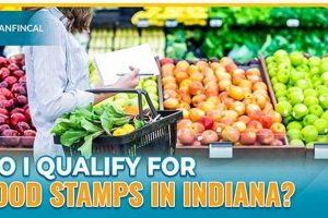 Find Your Muncie, IN Food Stamp Office Location Old Stamp Collecting Guide: Discover, Value & Preserve Vintage Stamps Find Your Muncie, IN Food Stamp Office Location | Old Stamp Collecting Guide: Discover, Value & Preserve Vintage Stamps