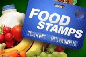 Cut In Food Stamp Benefits Old Stamp Collecting Guide: Discover, Value & Preserve Vintage Stamps Cut In Food Stamp Benefits | Old Stamp Collecting Guide: Discover, Value & Preserve Vintage Stamps