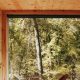 Cozy Postcard Cabins in Austin, TX | Old Stamp Collecting Guide: Discover, Value & Preserve Vintage Stamps