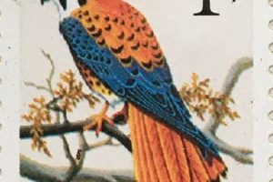 Classic 1 Cent American Kestrel Stamp Guide Old Stamp Collecting Guide: Discover, Value & Preserve Vintage Stamps Classic 1 Cent American Kestrel Stamp Guide | Old Stamp Collecting Guide: Discover, Value & Preserve Vintage Stamps