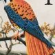 Classic 1 Cent American Kestrel Stamp Guide | Old Stamp Collecting Guide: Discover, Value & Preserve Vintage Stamps