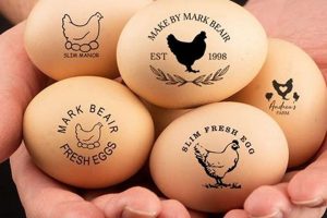 Design Your Custom Egg Stamp Today! Old Stamp Collecting Guide: Discover, Value & Preserve Vintage Stamps Design Your Custom Egg Stamp Today! | Old Stamp Collecting Guide: Discover, Value & Preserve Vintage Stamps