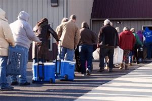 Find Your MO Food Stamp Interview Number & Info Old Stamp Collecting Guide: Discover, Value & Preserve Vintage Stamps Find Your MO Food Stamp Interview Number & Info | Old Stamp Collecting Guide: Discover, Value & Preserve Vintage Stamps