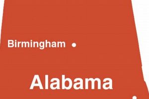 Find Your Jasper AL Food Stamp Office Old Stamp Collecting Guide: Discover, Value & Preserve Vintage Stamps Find Your Jasper AL Food Stamp Office | Old Stamp Collecting Guide: Discover, Value & Preserve Vintage Stamps
