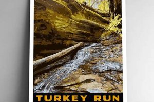 Beyond Postcard & Run: Deep Travel | Old Stamp Collecting Guide: Discover, Value & Preserve Vintage Stamps