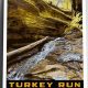 Beyond Postcard & Run: Deep Travel | Old Stamp Collecting Guide: Discover, Value & Preserve Vintage Stamps