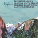National Park Postcard | Old Stamp Collecting Guide: Discover, Value & Preserve Vintage Stamps