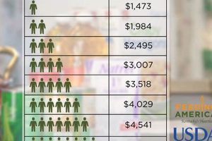 WI Food Stamp Income Limits & Guidelines 2024 Old Stamp Collecting Guide: Discover, Value & Preserve Vintage Stamps WI Food Stamp Income Limits & Guidelines 2024 | Old Stamp Collecting Guide: Discover, Value & Preserve Vintage Stamps