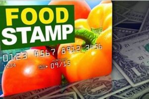 Report a Stolen Food Stamp Card: A Quick Guide Old Stamp Collecting Guide: Discover, Value & Preserve Vintage Stamps Report a Stolen Food Stamp Card: A Quick Guide | Old Stamp Collecting Guide: Discover, Value & Preserve Vintage Stamps