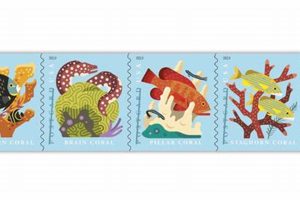 Coral Reefs Postcard Stamp | Old Stamp Collecting Guide: Discover, Value & Preserve Vintage Stamps