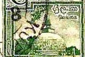Classic Ceylon 5 Cent Stamps: History & Value Old Stamp Collecting Guide: Discover, Value & Preserve Vintage Stamps Classic Ceylon 5 Cent Stamps: History & Value | Old Stamp Collecting Guide: Discover, Value & Preserve Vintage Stamps