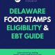 Delaware Food Stamp Program Guide &amp; Eligibility | Old Stamp Collecting Guide: Discover, Value & Preserve Vintage Stamps