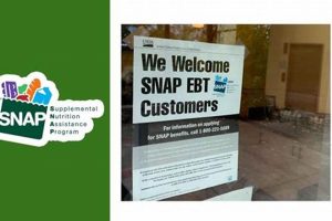 Find Food Stamp Office Near Me: Phone Numbers & Locations Old Stamp Collecting Guide: Discover, Value & Preserve Vintage Stamps Find Food Stamp Office Near Me: Phone Numbers & Locations | Old Stamp Collecting Guide: Discover, Value & Preserve Vintage Stamps