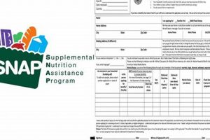 Apply for Food Stamp Benefits in NY Today! Old Stamp Collecting Guide: Discover, Value & Preserve Vintage Stamps Apply for Food Stamp Benefits in NY Today! | Old Stamp Collecting Guide: Discover, Value & Preserve Vintage Stamps
