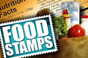 Find Your Ocala Food Stamp Office Location Old Stamp Collecting Guide: Discover, Value & Preserve Vintage Stamps Find Your Ocala Food Stamp Office Location | Old Stamp Collecting Guide: Discover, Value & Preserve Vintage Stamps