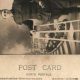Vintage Portrait Postcards: Capture History | Old Stamp Collecting Guide: Discover, Value & Preserve Vintage Stamps