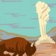 Yellowstone National Park Postcard | Old Stamp Collecting Guide: Discover, Value & Preserve Vintage Stamps