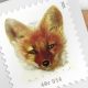 Collecting Red Fox Postage Stamps: A Guide | Old Stamp Collecting Guide: Discover, Value & Preserve Vintage Stamps