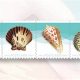 2017 Postcard Stamp Prices: A Complete Guide | Old Stamp Collecting Guide: Discover, Value & Preserve Vintage Stamps