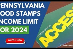 PA Food Stamp Guide: Benefits & Eligibility | Old Stamp Collecting Guide: Discover, Value & Preserve Vintage Stamps