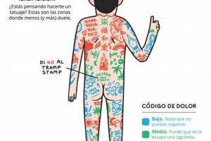 Lower Back Tattoo Pain: A Guide to Levels & Tolerance Old Stamp Collecting Guide: Discover, Value & Preserve Vintage Stamps Lower Back Tattoo Pain: A Guide to Levels & Tolerance | Old Stamp Collecting Guide: Discover, Value & Preserve Vintage Stamps