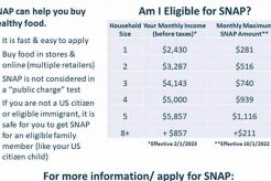 MA Food Stamp Program: Your SNAP Guide Old Stamp Collecting Guide: Discover, Value & Preserve Vintage Stamps MA Food Stamp Program: Your SNAP Guide | Old Stamp Collecting Guide: Discover, Value & Preserve Vintage Stamps