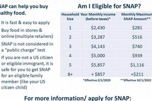 MA Food Stamp Program: Your SNAP Guide Old Stamp Collecting Guide: Discover, Value & Preserve Vintage Stamps MA Food Stamp Program: Your SNAP Guide | Old Stamp Collecting Guide: Discover, Value & Preserve Vintage Stamps