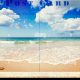 Vintage Beach Postcards: Seaside Memories | Old Stamp Collecting Guide: Discover, Value & Preserve Vintage Stamps