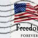 Find Postage Stamps Near You Now | Old Stamp Collecting Guide: Discover, Value & Preserve Vintage Stamps