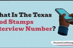Food Stamp Interview Number Texas Old Stamp Collecting Guide: Discover, Value & Preserve Vintage Stamps Food Stamp Interview Number Texas | Old Stamp Collecting Guide: Discover, Value & Preserve Vintage Stamps