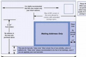 Essential Postcard Design Requirements & Tips Old Stamp Collecting Guide: Discover, Value & Preserve Vintage Stamps Essential Postcard Design Requirements & Tips | Old Stamp Collecting Guide: Discover, Value & Preserve Vintage Stamps