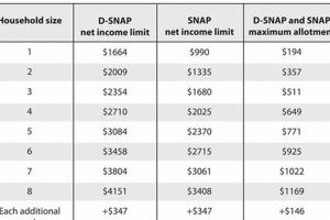 MS Food Stamp Income Limits: A 2024 Guide Old Stamp Collecting Guide: Discover, Value & Preserve Vintage Stamps MS Food Stamp Income Limits: A 2024 Guide | Old Stamp Collecting Guide: Discover, Value & Preserve Vintage Stamps