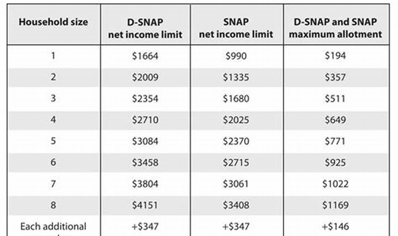 MS Food Stamp Income Limits: A 2024 Guide