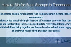 Food Stamp Office Fayetteville Tn Old Stamp Collecting Guide: Discover, Value & Preserve Vintage Stamps Food Stamp Office Fayetteville Tn | Old Stamp Collecting Guide: Discover, Value & Preserve Vintage Stamps
