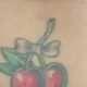 Cherry Tramp Stamp: Designs & Meanings | Old Stamp Collecting Guide: Discover, Value & Preserve Vintage Stamps