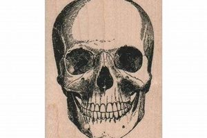 Custom Skull Rubber Stamps & Designs Old Stamp Collecting Guide: Discover, Value & Preserve Vintage Stamps Custom Skull Rubber Stamps & Designs | Old Stamp Collecting Guide: Discover, Value & Preserve Vintage Stamps