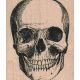 Custom Skull Rubber Stamps & Designs | Old Stamp Collecting Guide: Discover, Value & Preserve Vintage Stamps