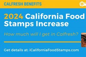 Guide to California Food Stamp Rules & Eligibility Old Stamp Collecting Guide: Discover, Value & Preserve Vintage Stamps Guide to California Food Stamp Rules & Eligibility | Old Stamp Collecting Guide: Discover, Value & Preserve Vintage Stamps