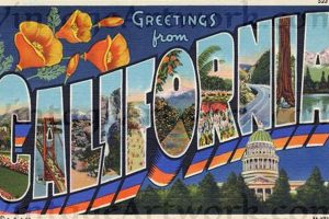 California Postcard Vintage Old Stamp Collecting Guide: Discover, Value & Preserve Vintage Stamps California Postcard Vintage | Old Stamp Collecting Guide: Discover, Value & Preserve Vintage Stamps