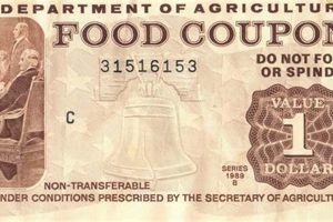 Latest Food Stamp Changes & Updates Old Stamp Collecting Guide: Discover, Value & Preserve Vintage Stamps Latest Food Stamp Changes & Updates | Old Stamp Collecting Guide: Discover, Value & Preserve Vintage Stamps