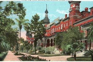 The Vintage Postcard Inn: Tampa, Florida Charm Old Stamp Collecting Guide: Discover, Value & Preserve Vintage Stamps The Vintage Postcard Inn: Tampa, Florida Charm | Old Stamp Collecting Guide: Discover, Value & Preserve Vintage Stamps