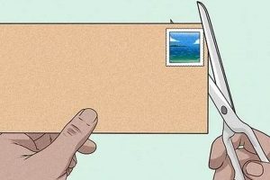 Safely Remove Postage Stamps From Envelopes Old Stamp Collecting Guide: Discover, Value & Preserve Vintage Stamps Safely Remove Postage Stamps From Envelopes | Old Stamp Collecting Guide: Discover, Value & Preserve Vintage Stamps