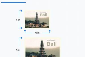 Vintage Postcard Dim Lighting Effects | Old Stamp Collecting Guide: Discover, Value & Preserve Vintage Stamps