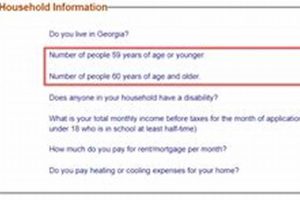 GA Food Stamp Eligibility Requirements & Guide Old Stamp Collecting Guide: Discover, Value & Preserve Vintage Stamps GA Food Stamp Eligibility Requirements & Guide | Old Stamp Collecting Guide: Discover, Value & Preserve Vintage Stamps