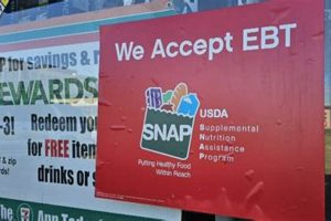 Colorado Food Stamp Guide & Requirements 2024 Old Stamp Collecting Guide: Discover, Value & Preserve Vintage Stamps Colorado Food Stamp Guide & Requirements 2024 | Old Stamp Collecting Guide: Discover, Value & Preserve Vintage Stamps
