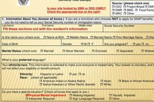 Apply for SNAP Food Stamps in MA - Easy Guide Old Stamp Collecting Guide: Discover, Value & Preserve Vintage Stamps Apply for SNAP Food Stamps in MA - Easy Guide | Old Stamp Collecting Guide: Discover, Value & Preserve Vintage Stamps