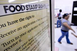 Avoiding Food Stamp Disqualification: A Guide | Old Stamp Collecting Guide: Discover, Value & Preserve Vintage Stamps