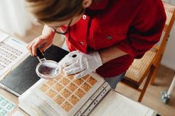 The Ultimate Guide to Stamp Collecting: Philately for Beginners Old Stamp Collecting Guide: Discover, Value & Preserve Vintage Stamps The Ultimate Guide to Stamp Collecting: Philately for Beginners | Old Stamp Collecting Guide: Discover, Value & Preserve Vintage Stamps