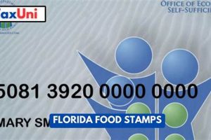 Florida Food Stamp Requirements: A 2024 Guide Old Stamp Collecting Guide: Discover, Value & Preserve Vintage Stamps Florida Food Stamp Requirements: A 2024 Guide | Old Stamp Collecting Guide: Discover, Value & Preserve Vintage Stamps